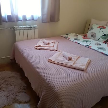 Apartman Nina Vojvode Stepe Vozdovac Voždivac Buitenkant foto